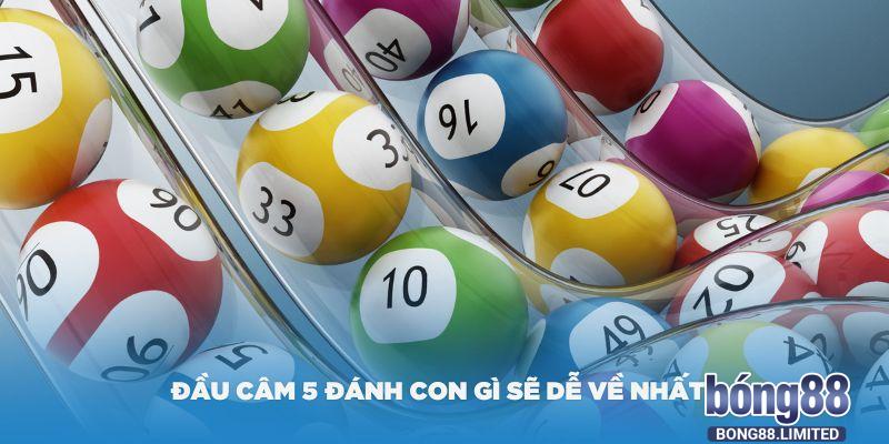 dau cam 5 danh con gi se de ve nhat